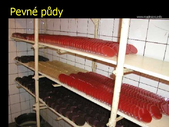 Pevné půdy www. medmicro. info 