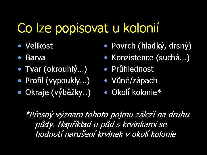 Co lze popisovat u kolonií • • • Velikost Barva Tvar (okrouhlý…) Profil (vypouklý…)