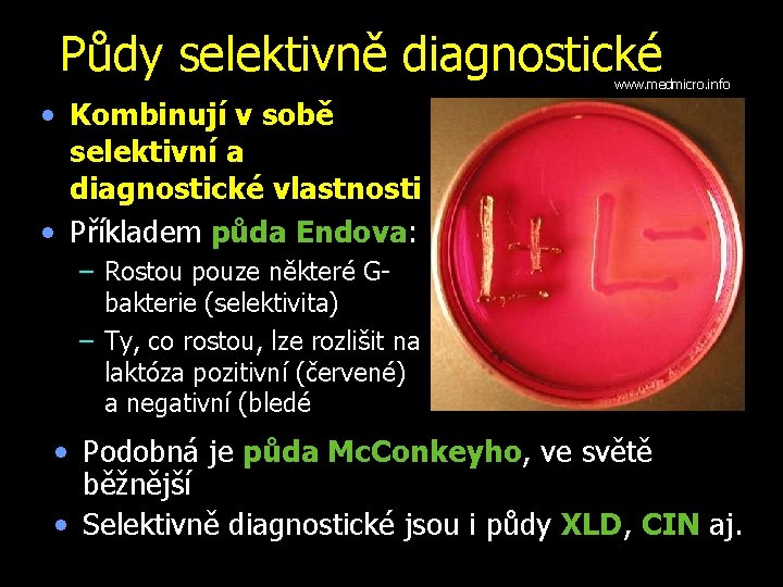 Půdy selektivně diagnostické www. medmicro. info • Kombinují v sobě selektivní a diagnostické vlastnosti