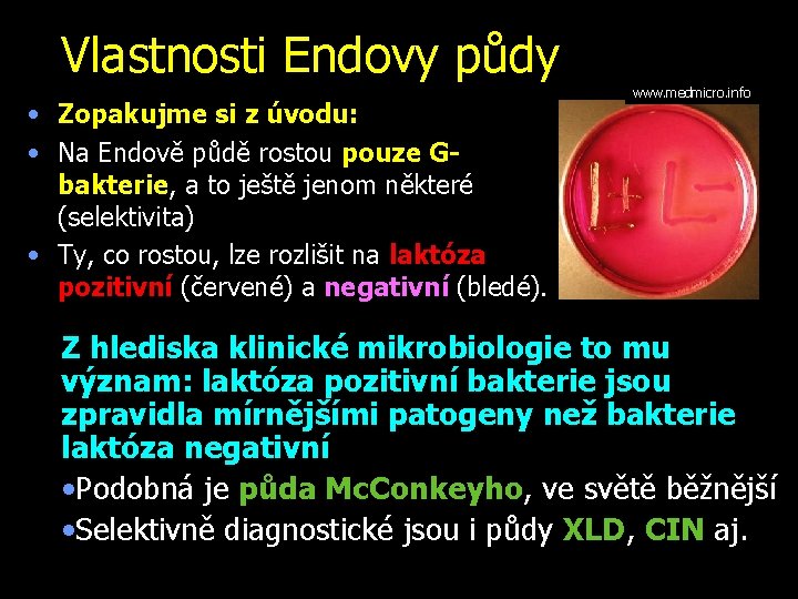 Vlastnosti Endovy půdy • Zopakujme si z úvodu: • Na Endově půdě rostou pouze