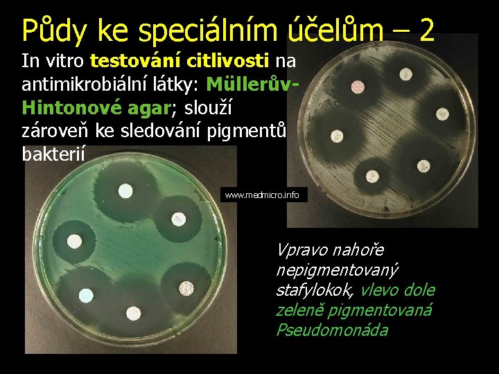 Půdy ke speciálním účelům – 2 In vitro testování citlivosti na antimikrobiální látky: Müllerův.