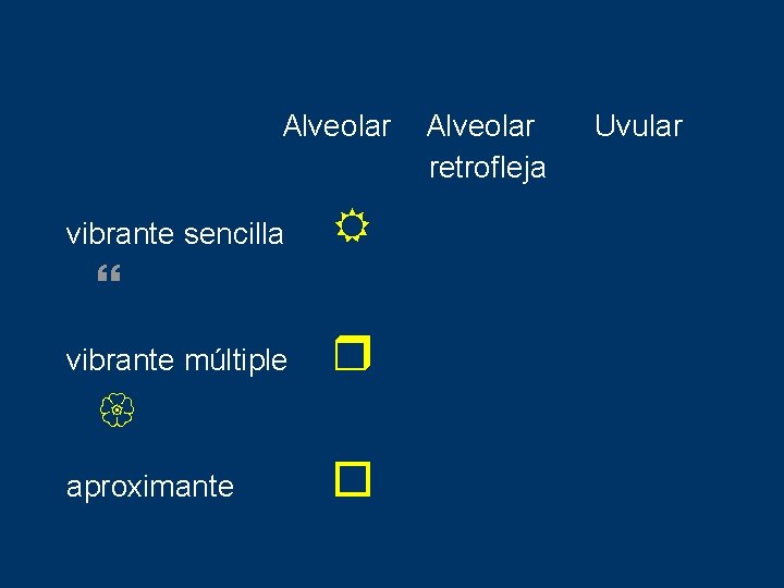 Alveolar vibrante sencilla R vibrante múltiple r aproximante Alveolar retrofleja Uvular 