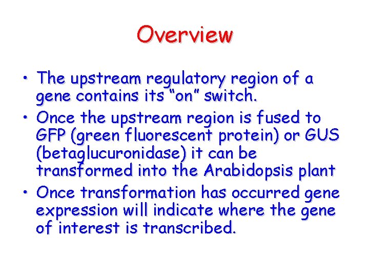 Overview • The upstream regulatory region of a gene contains its “on” switch. •