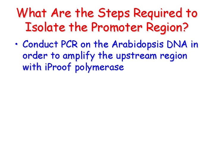 What Are the Steps Required to Isolate the Promoter Region? • Conduct PCR on