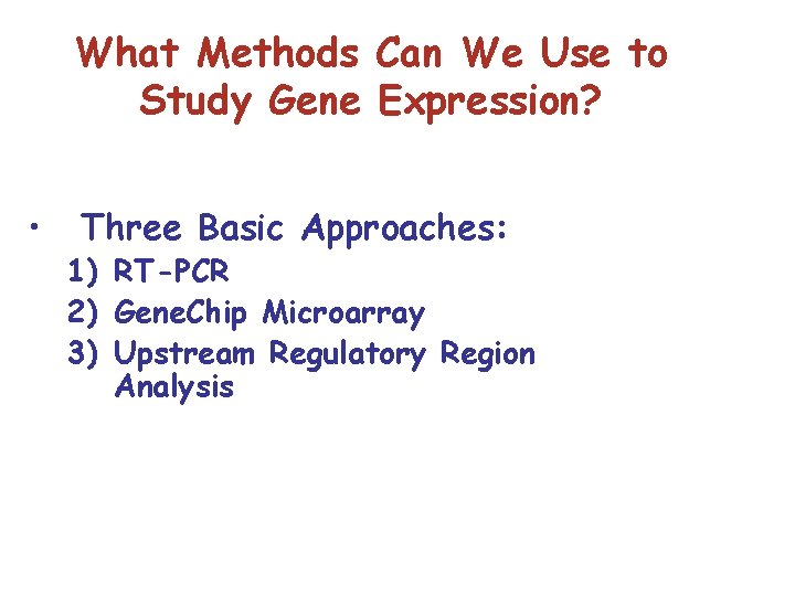 What Methods Can We Use to Study Gene Expression? • Three Basic Approaches: 1)