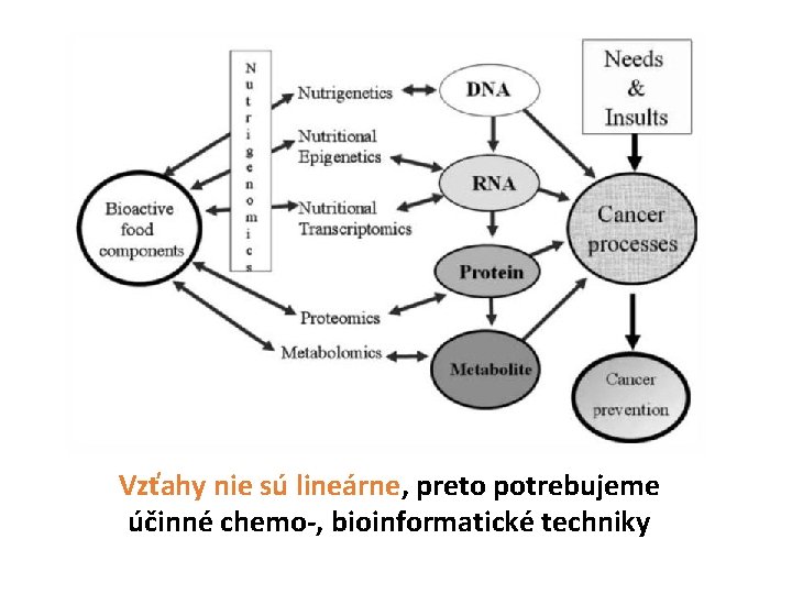 Vzťahy nie sú lineárne, preto potrebujeme účinné chemo-, bioinformatické techniky 