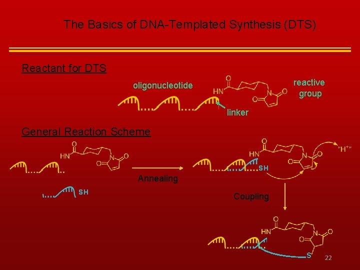 The Basics of DNA-Templated Synthesis (DTS) Reactant for DTS reactive group oligonucleotide linker General