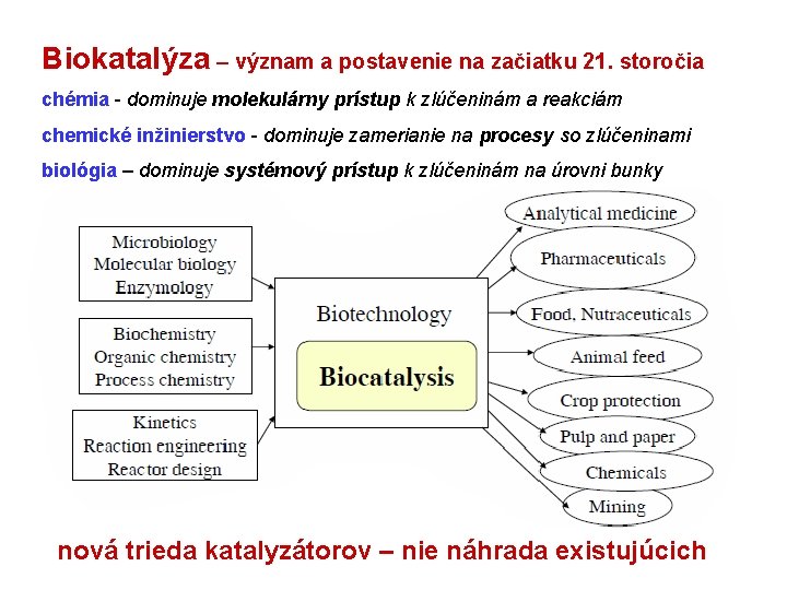 Biokatalýza – význam a postavenie na začiatku 21. storočia chémia - dominuje molekulárny prístup