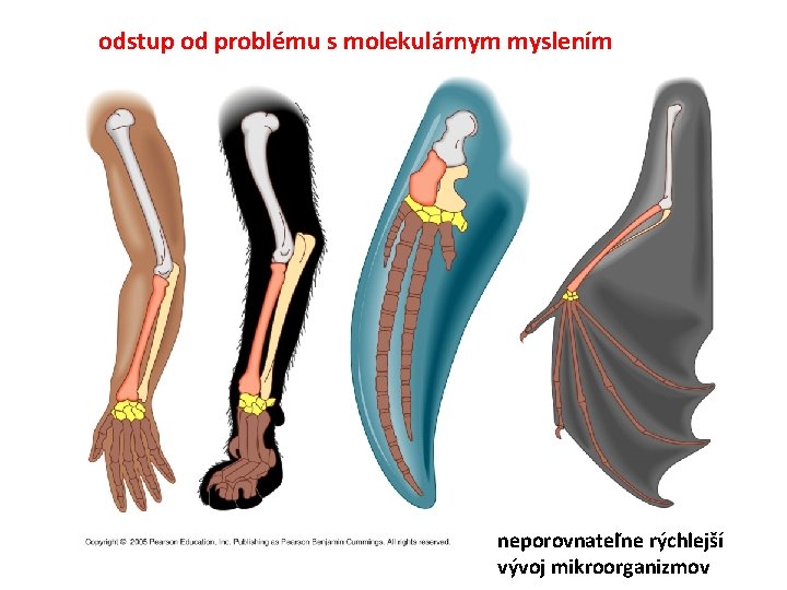 odstup od problému s molekulárnym myslením neporovnateľne rýchlejší vývoj mikroorganizmov 