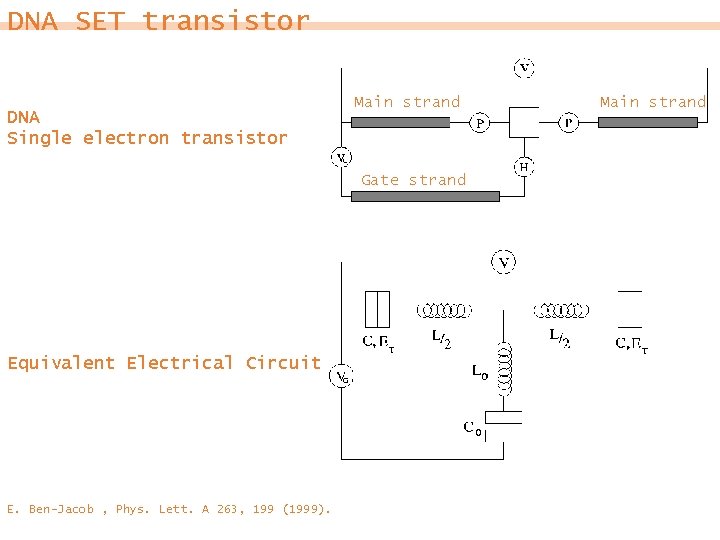 DNA SET transistor DNA Single electron transistor Main strand Gate strand Equivalent Electrical Circuit