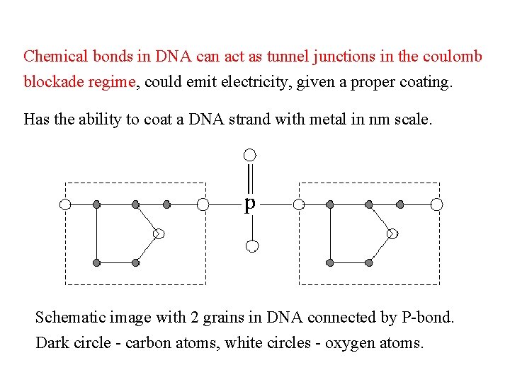 Chemical bonds in DNA can act as tunnel junctions in the coulomb blockade regime,