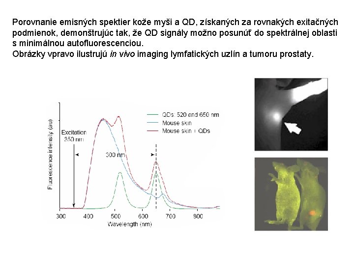 Porovnanie emisných spektier kože myši a QD, získaných za rovnakých exitačných podmienok, demonštrujúc tak,