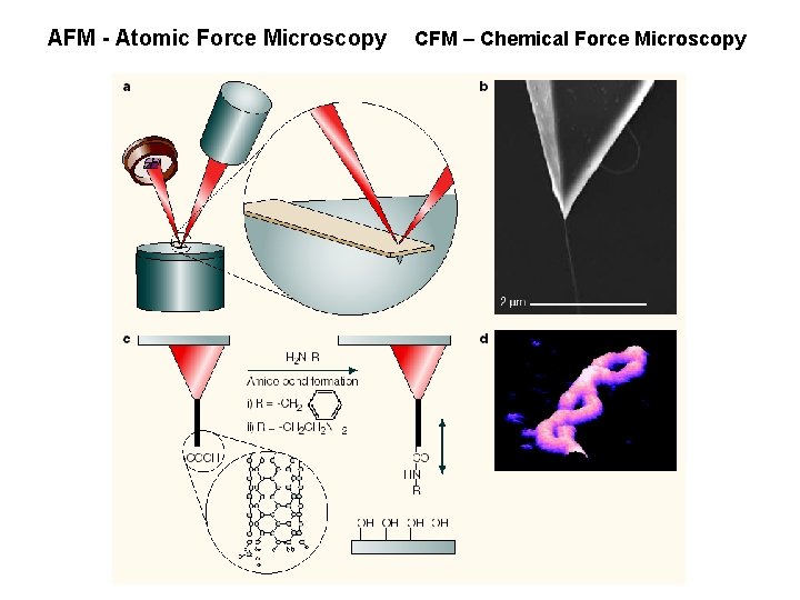 AFM - Atomic Force Microscopy CFM – Chemical Force Microscopy 