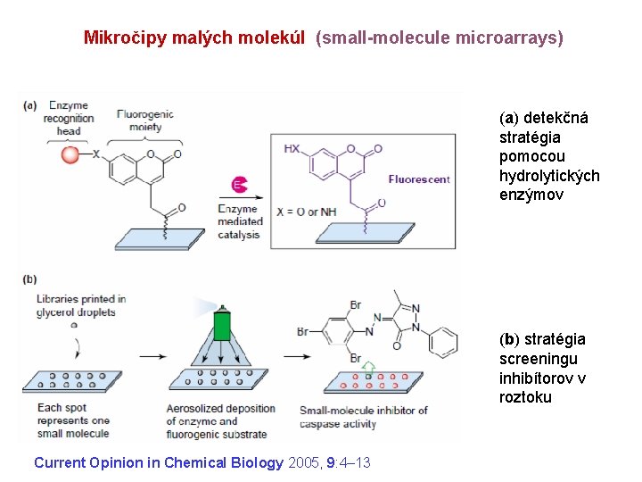 Mikročipy malých molekúl (small-molecule microarrays) (a) detekčná stratégia pomocou hydrolytických enzýmov (b) stratégia screeningu