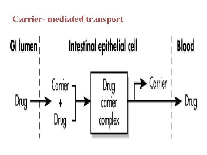 Carrier- mediated transport • . 