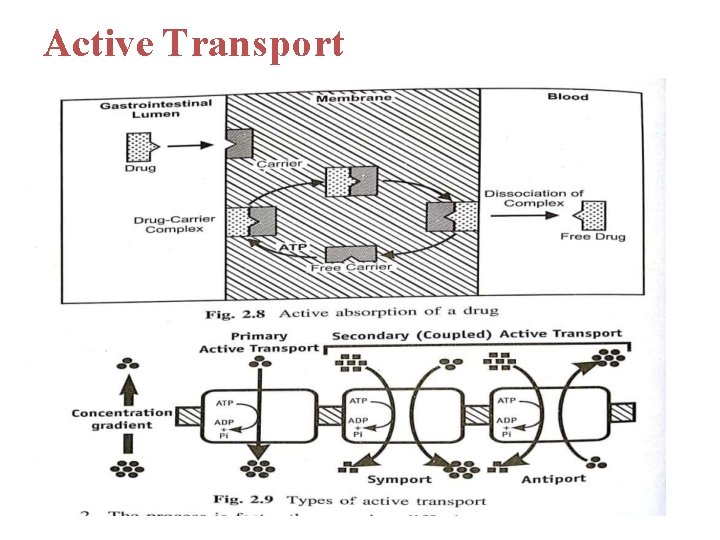 Active Transport 