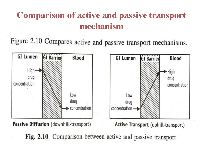 Comparison of active and passive transport mechanism 