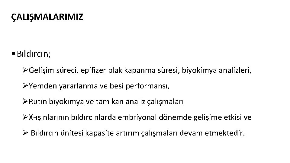 ÇALIŞMALARIMIZ § Bıldırcın; ØGelişim süreci, epifizer plak kapanma süresi, biyokimya analizleri, ØYemden yararlanma ve