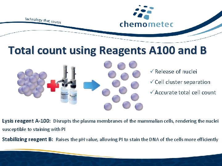 Total count using Reagents A 100 and B üRelease of nuclei üCell cluster separation