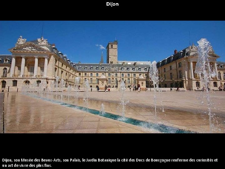 Dijon, son Musée des Beaux-Arts, son Palais, le Jardin Botanique la cité des Ducs
