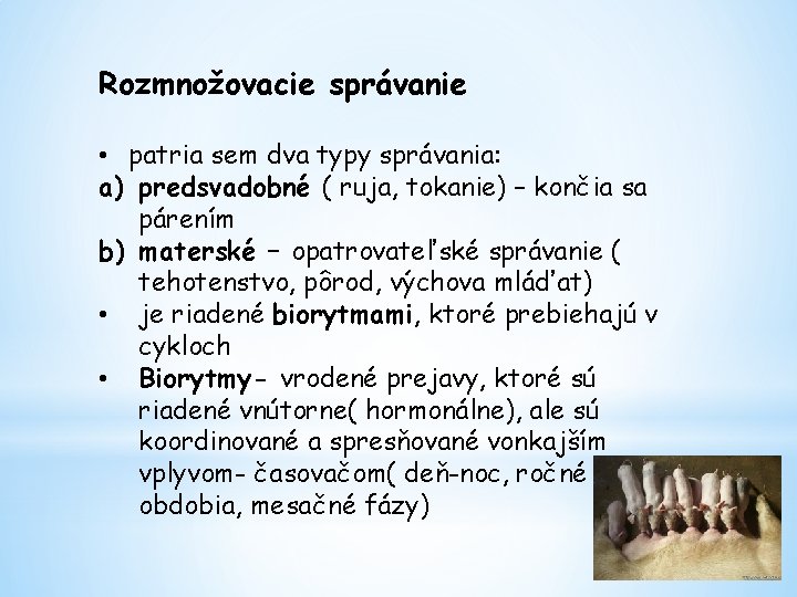 Rozmnožovacie správanie • patria sem dva typy správania: a) predsvadobné ( ruja, tokanie) –