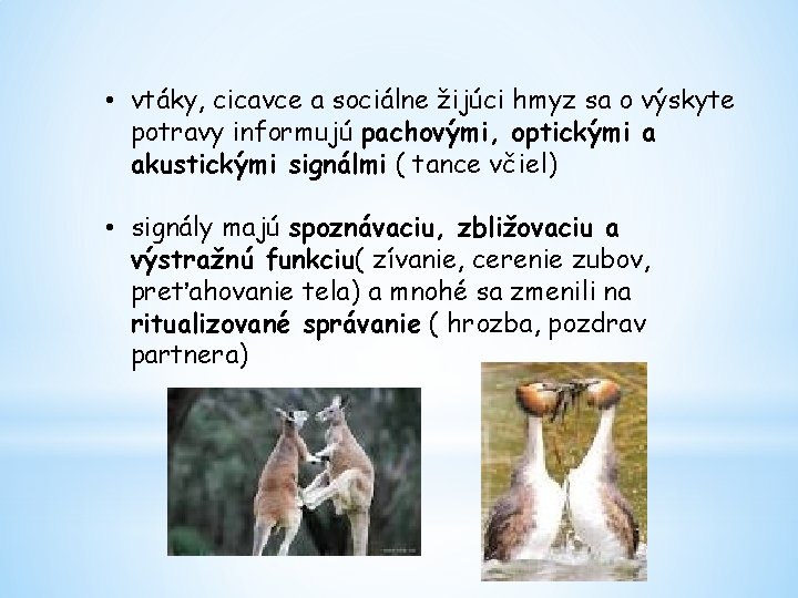  • vtáky, cicavce a sociálne žijúci hmyz sa o výskyte potravy informujú pachovými,