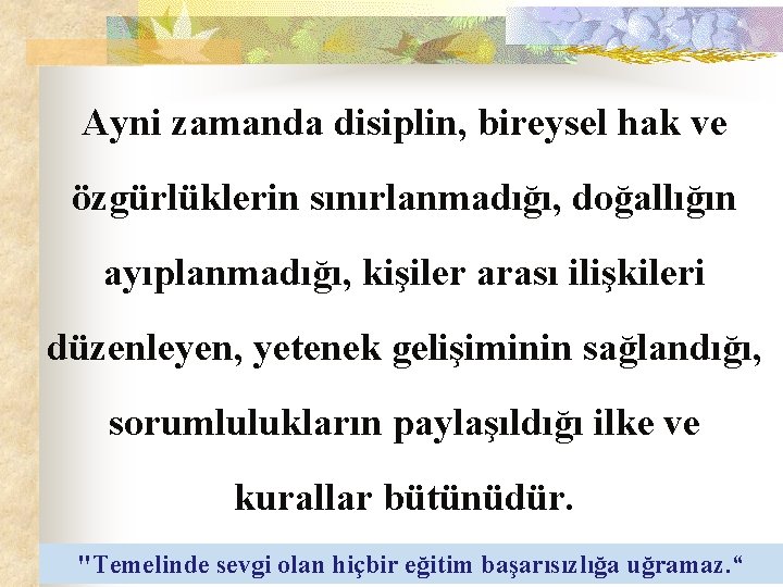 Ayni zamanda disiplin, bireysel hak ve özgürlüklerin sınırlanmadığı, doğallığın ayıplanmadığı, kişiler arası ilişkileri düzenleyen,