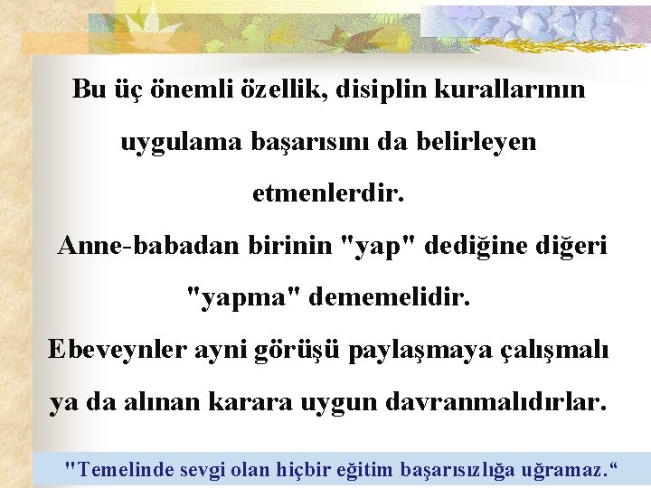 Bu üç önemli özellik, disiplin kurallarının uygulama başarısını da belirleyen etmenlerdir. Anne-babadan birinin "yap"