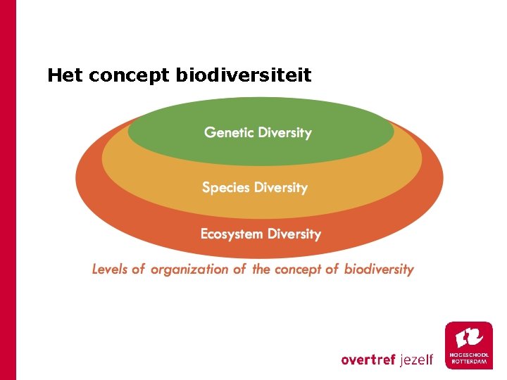 Het concept biodiversiteit 