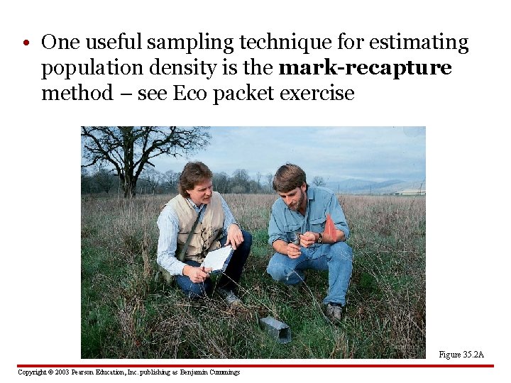  • One useful sampling technique for estimating population density is the mark-recapture method