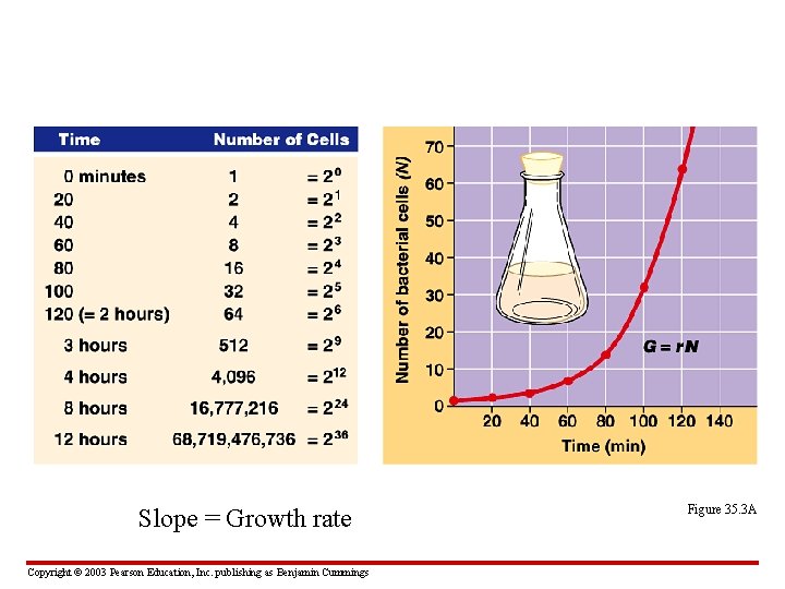 Slope = Growth rate Copyright © 2003 Pearson Education, Inc. publishing as Benjamin Cummings