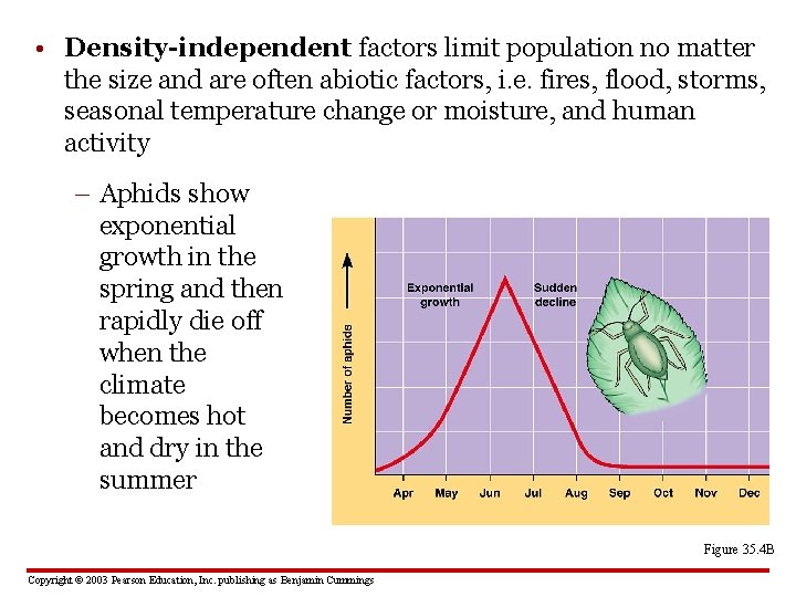  • Density-independent factors limit population no matter the size and are often abiotic
