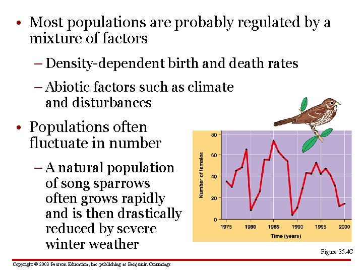  • Most populations are probably regulated by a mixture of factors – Density-dependent