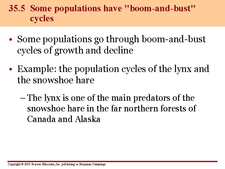 35. 5 Some populations have "boom-and-bust" cycles • Some populations go through boom-and-bust cycles