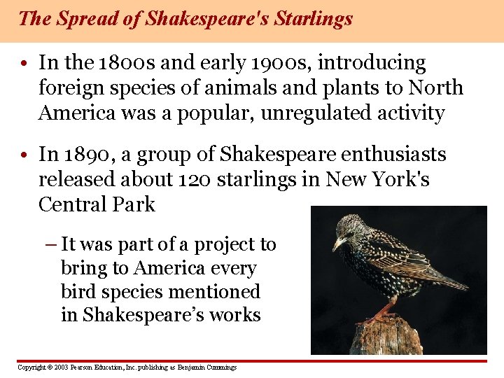 The Spread of Shakespeare's Starlings • In the 1800 s and early 1900 s,