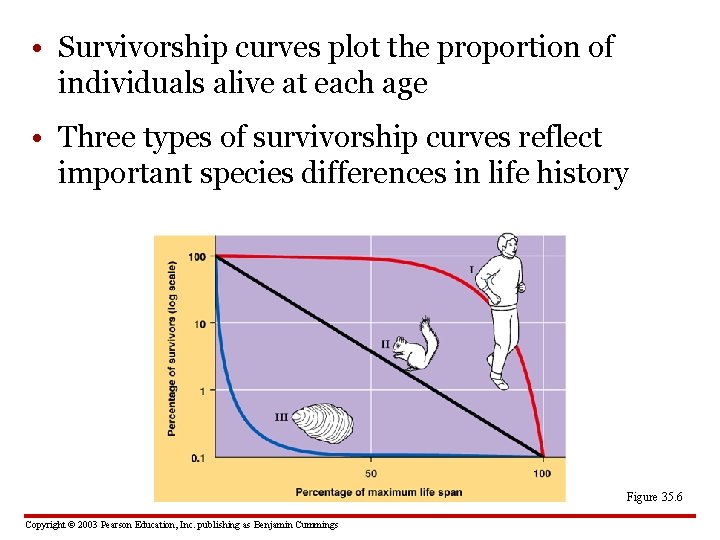  • Survivorship curves plot the proportion of individuals alive at each age •