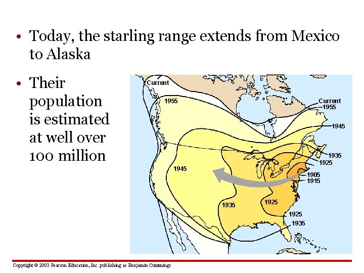  • Today, the starling range extends from Mexico to Alaska • Their population