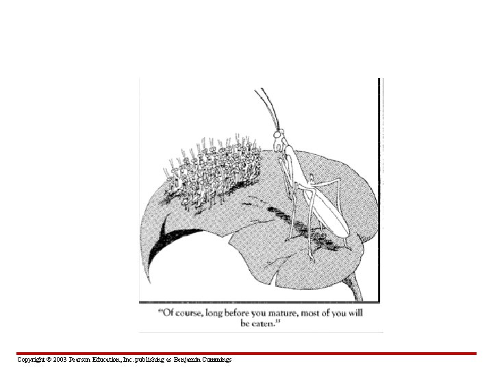 Copyright © 2003 Pearson Education, Inc. publishing as Benjamin Cummings 