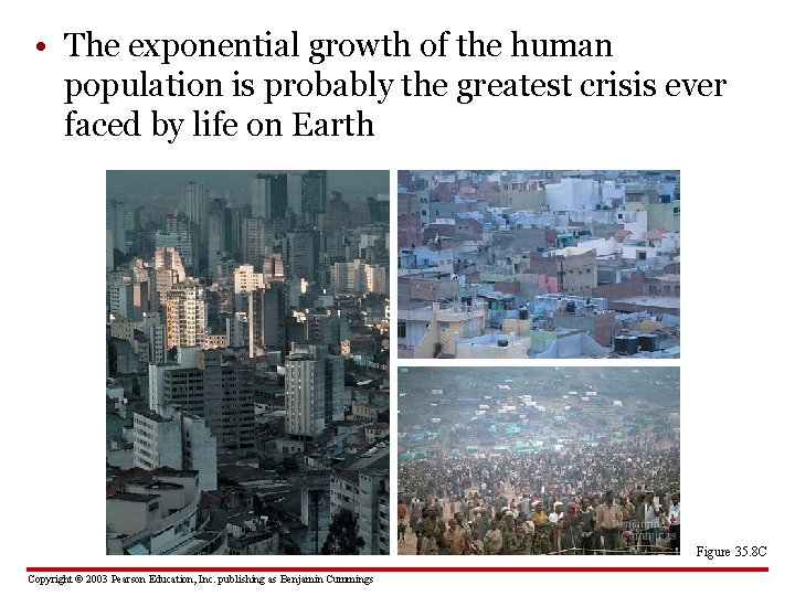  • The exponential growth of the human population is probably the greatest crisis