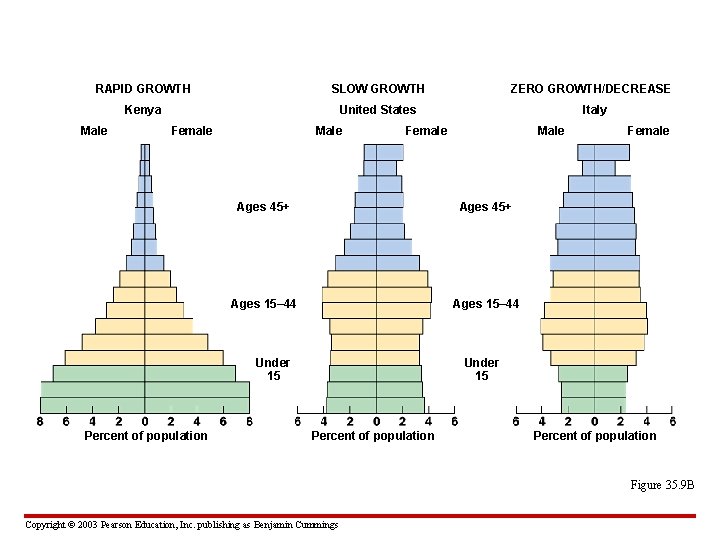 RAPID GROWTH SLOW GROWTH ZERO GROWTH/DECREASE Kenya United States Italy Male Female Ages 45+