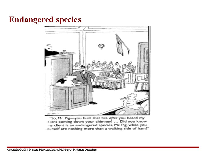 Endangered species Copyright © 2003 Pearson Education, Inc. publishing as Benjamin Cummings 