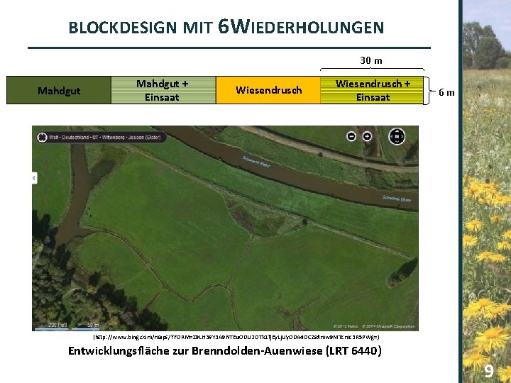 BLOCKDESIGN MIT 6 WIEDERHOLUNGEN 30 m Mahdgut + Einsaat Wiesendrusch + Einsaat 6 m
