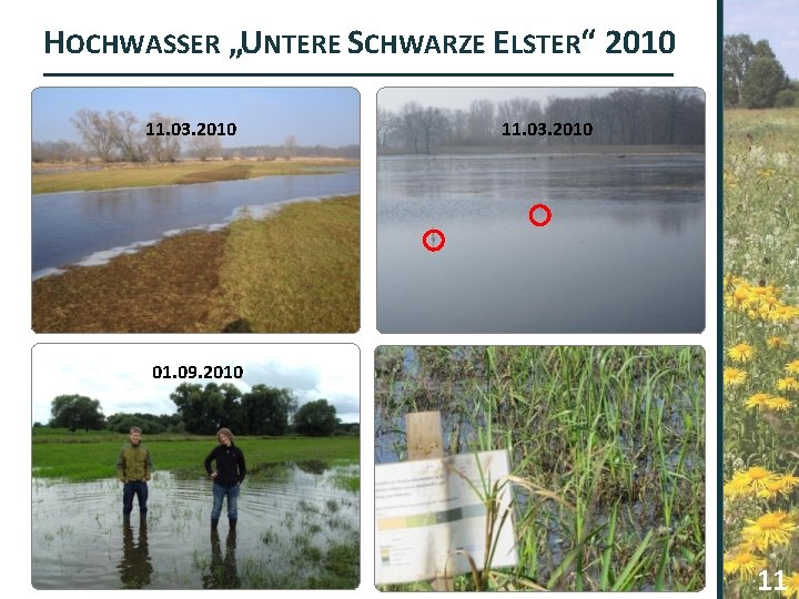 HOCHWASSER „UNTERE SCHWARZE ELSTER“ 2010 11. 03. 2010 01. 09. 2010 11 