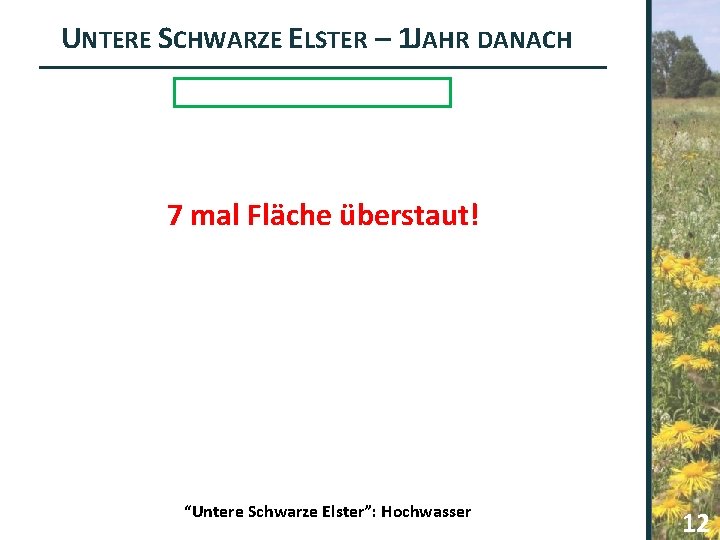 UNTERE SCHWARZE ELSTER – 1 JAHR DANACH 7 mal Fläche überstaut! “Untere Schwarze Elster”: