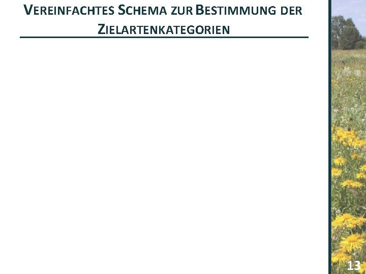 VEREINFACHTES SCHEMA ZUR BESTIMMUNG DER ZIELARTENKATEGORIEN 13 