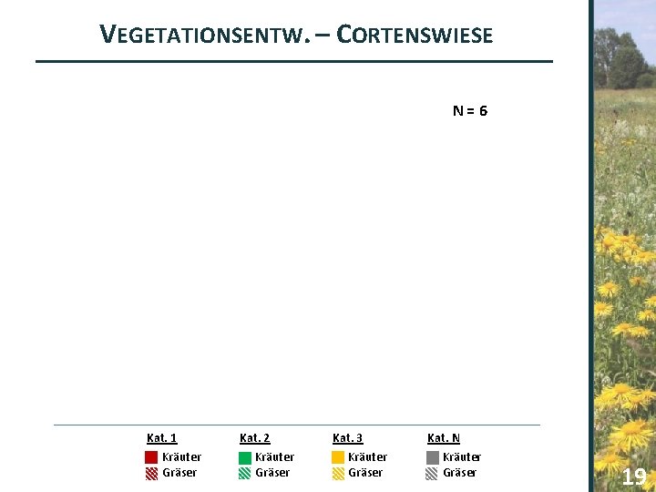 VEGETATIONSENTW. – CORTENSWIESE N=6 Kat. 1 Kräuter Gräser Kat. 2 Kräuter Gräser Kat. 3