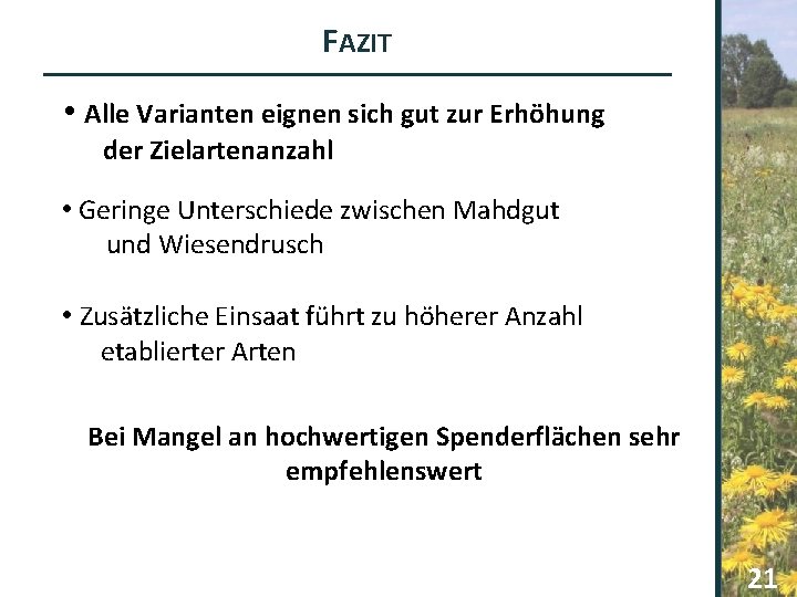 FAZIT • Alle Varianten eignen sich gut zur Erhöhung der Zielartenanzahl • Geringe Unterschiede