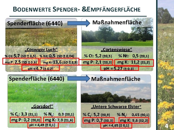 BODENWERTE SPENDER- &EMPFÄNGERFLÄCHE Spenderfläche (6440) „Coswiger Luch“ % Ct: 5, 7 (SD ± 0,