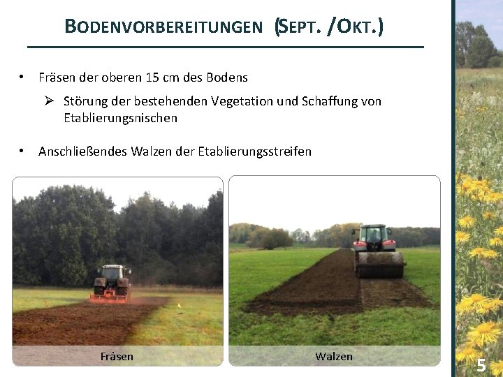 BODENVORBEREITUNGEN (SEPT. /OKT. ) • Fräsen der oberen 15 cm des Bodens Ø Störung