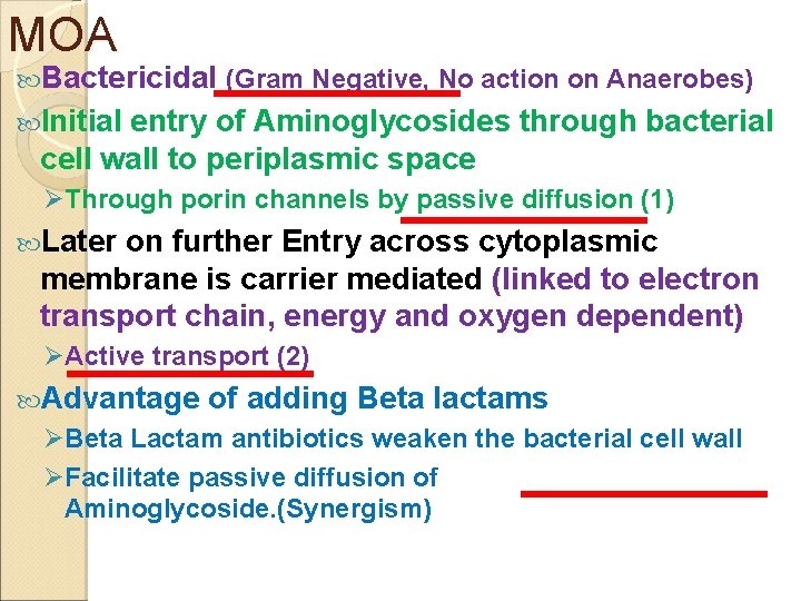 MOA Bactericidal (Gram Negative, No action on Anaerobes) Initial entry of Aminoglycosides through bacterial